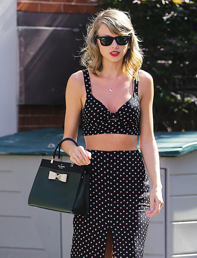 The-Many-Bags-of-Taylor-Swift-Part-2-9