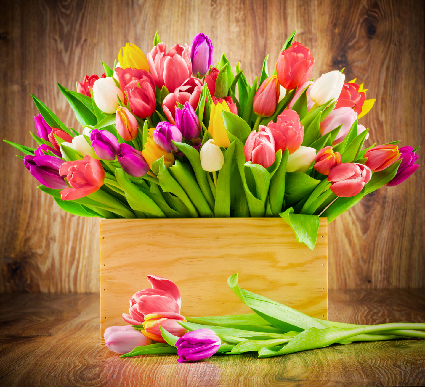 arreglo de tulipanes de colores