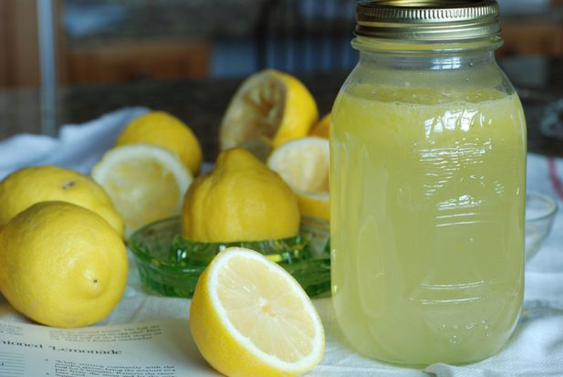 autenticas-recetas-de-limonada-y-margarita-2