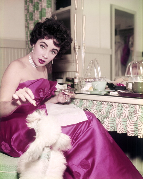 British-born American actress Elizabeth Taylor (1932 - 2011) feeding tidbits from her table to a pet poodle, circa 1955. (Photo by Silver Screen Collection/Getty Images)