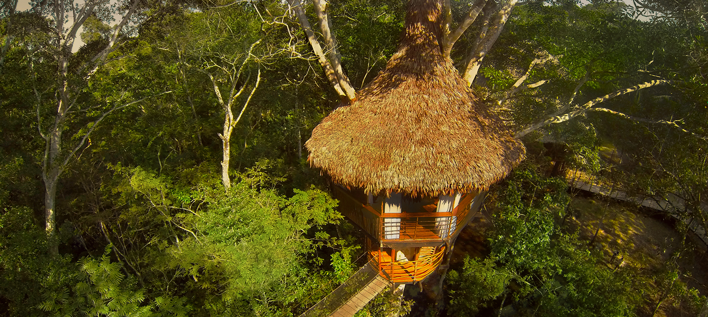 Foto: Treehouse Lodge 