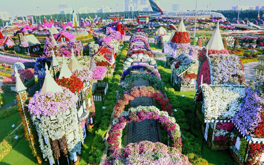 Foto: Dubai Miracle Garden