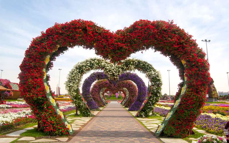 Foto: Dubai Miracle Garden