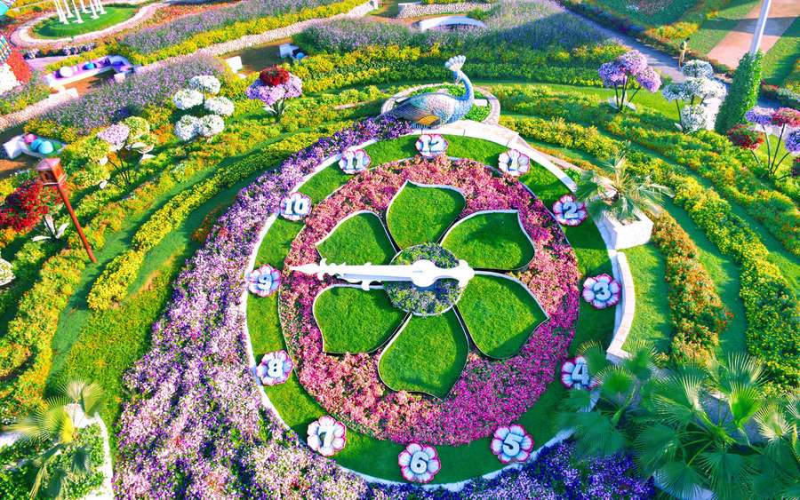 Foto: Dubai Miracle Garden