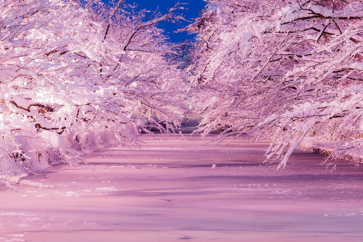 Foto: Twitter