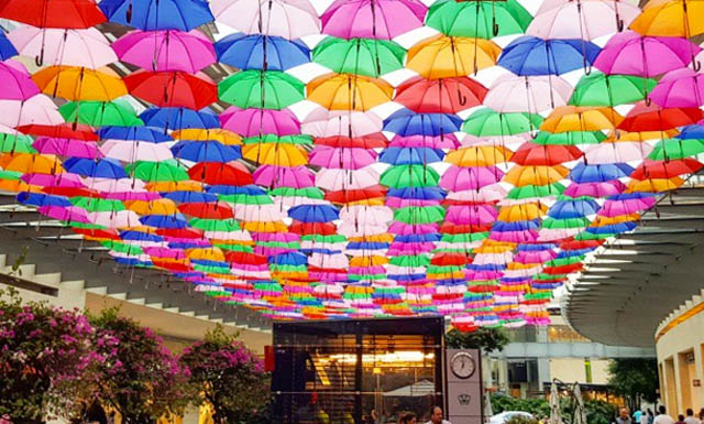 45 ideas de Fotos con Paraguas en 2024  ideas para tomar fotos, para tomar  fotos, paraguas