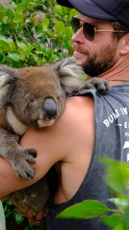 #FotoDelDía Chris Hemsworth: el más tierno cargando a este koala