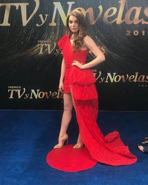 Premios tvynovelas tendencias vestidos