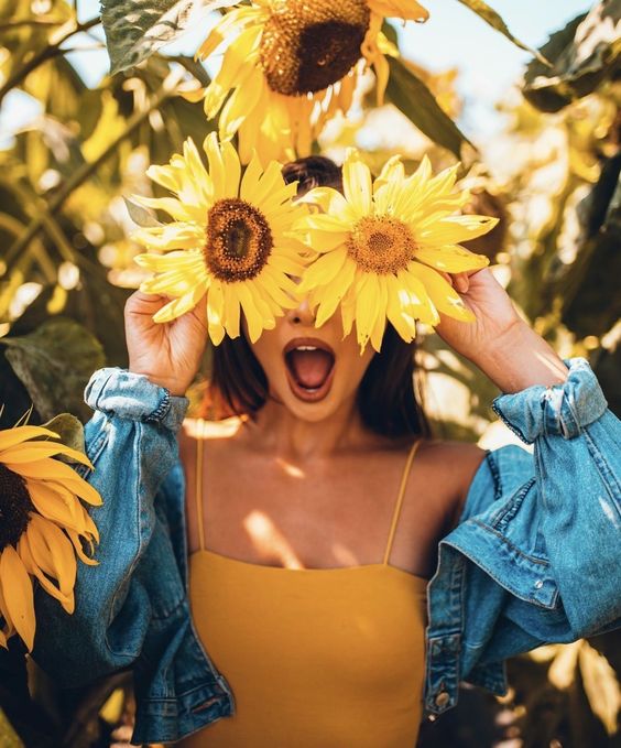 santuario de girasoles mx