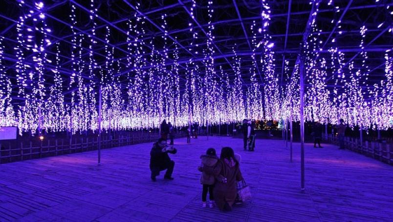 festival luces japón