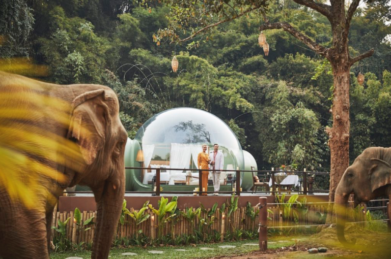 hotel con elefantes