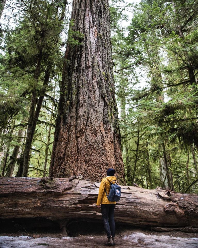 isla de vancouver british columbia