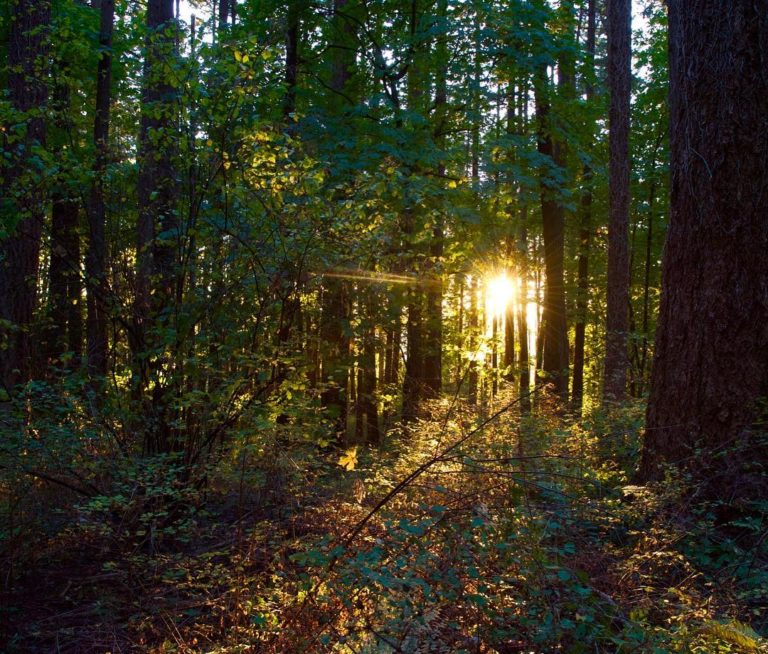 isla de vancouver british columbia