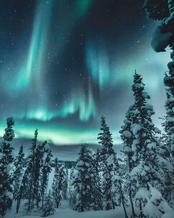 auroras boreales 