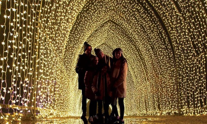 ¡Enamorate en 3,2,1! El Jardín Botánico de Brooklyn ya tiene espectáculo de luces navideñas