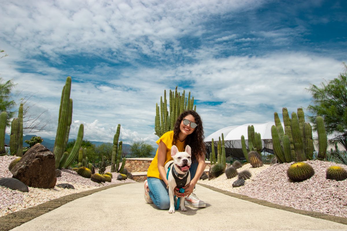Jardines de México se convierte en el spot perfecto para ir con tus  perritos este fin de semana - EstiloDF