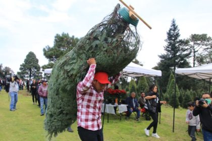 CRÉDITO: Alcaldía de Tlalpan  