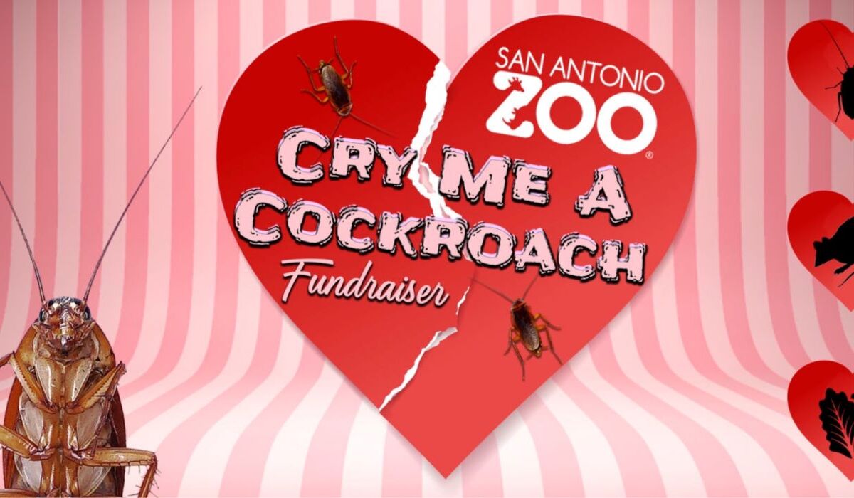 “Aplasta” a tu ex como una cucaracha; esta es la campaña de recaudación de fondos del Zoológico de San Antonio