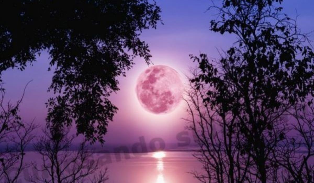 “Luna Rosa”, de abril, una oportunidad para mirar el cielo